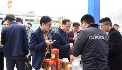 吴兴-青川东西部协作农产品网络促销系列活动启动