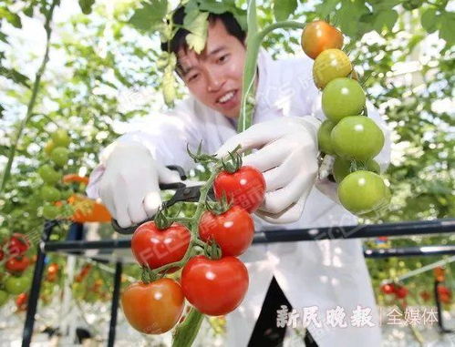 南通名特优农展会在上海开展